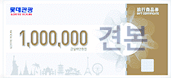 롯데관광 (100만원)